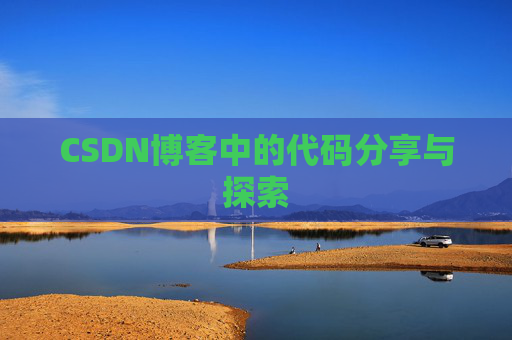 CSDN博客中的代码分享与探索